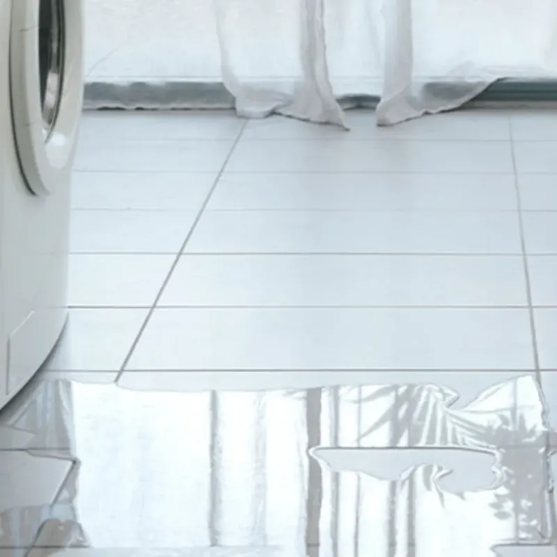 Appliance Leak Cleanup in Henry, IL
