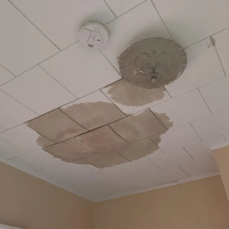 Ceiling Water Damage Repair in Henry, IL