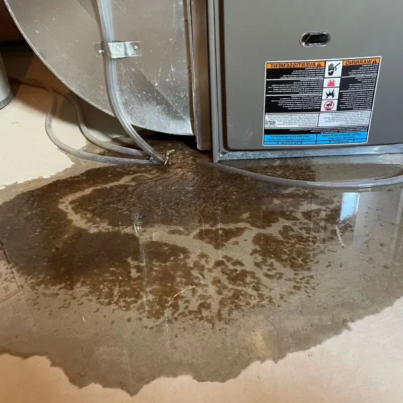 Pipe Burst and Leak Restoration in Henry, IL