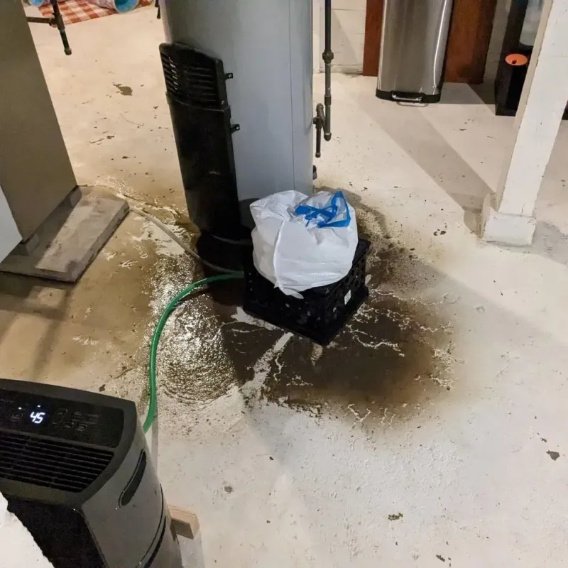 Sewage Backup Cleanup Service in Henry, IL